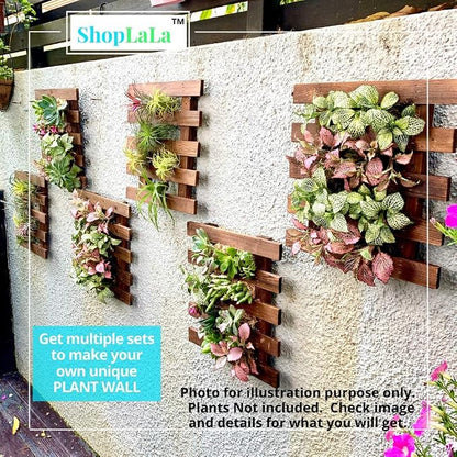 ShopLaLa Wall Planter - 2 Pack Wooden Hanging Succulent Wall Decor, Live Air Plants Orchids Wall Mounted Holder Frame Display for Indoor Outdoor, Living Plant Wall Decor Balcony Garden | Live Air Plants Orchids Wall Mounted Holder Frame Display for Ind...