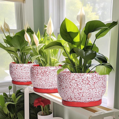 SQOWL 6 Inch Plant Pot - Ceramic Planter for Indoor Outdoor, Round Decorative Plant Pot with Drainage Hole and Saucer, Small Flower Planter, Home Balcony Decor, Gifts for Women Men, Red and White