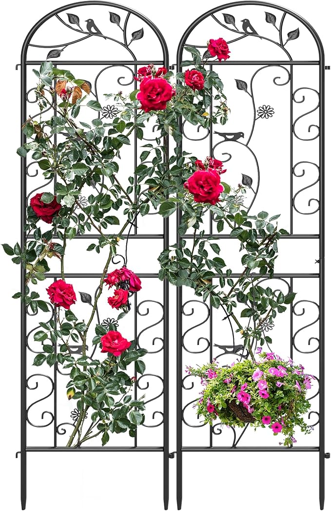 2-Pack 87" x 20" Daisy & Bird Arch Black Metal Garden Trellises | Set of 2 rust-resistant metal trellises with bird, daisy, and scrollwork details, spikes, and support for climbing plants