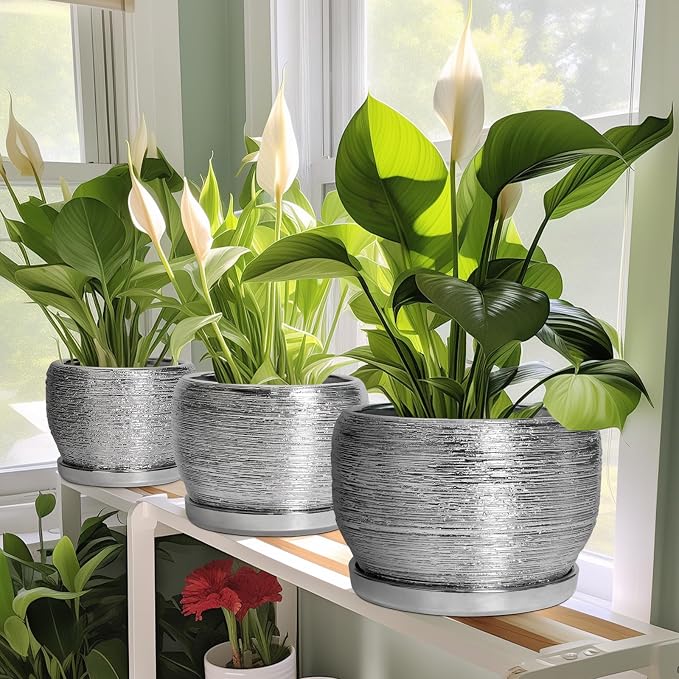 SQOWL Ceramic Plant Pots - 6 Inch Planter for Indoor Outdoor Plants, Modern Round Flower Pots with Drainage Hole and Saucer, Decorative Small Planter, Office Decor, Gifts for Women Men, Silver