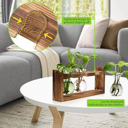 Plant Propagation Station Plant Terrarium Unique Birthday Gifts for Women | Plant Lovers Home Office Decor Planter with Wooden Stand - 3 Bulb Glass Vase