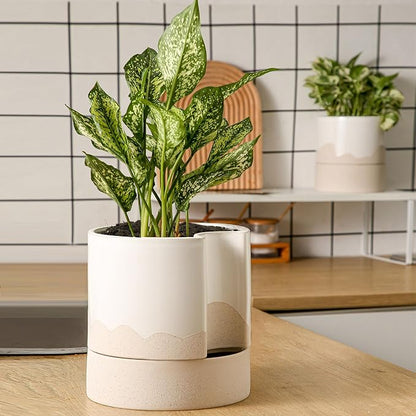 Nihow Ceramic Self Watering Plant Pot for Indoor Plants,8 Inch,White & Wave | Planter with Cotton Wick, Drainage Hole & Water Storage Plus, Cylinder Round Flower Pot, For Succulent/Herbs/Violets