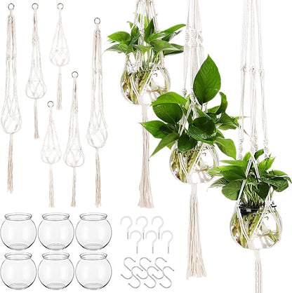 Colingmill 12 Pcs Plastic Plant Propagation with Boho Macrame Hanger Wall Plant Propagation Station Hanging Holder Include Hooks Kit for Indoor Home Garden Office Decor 3 Size (White)