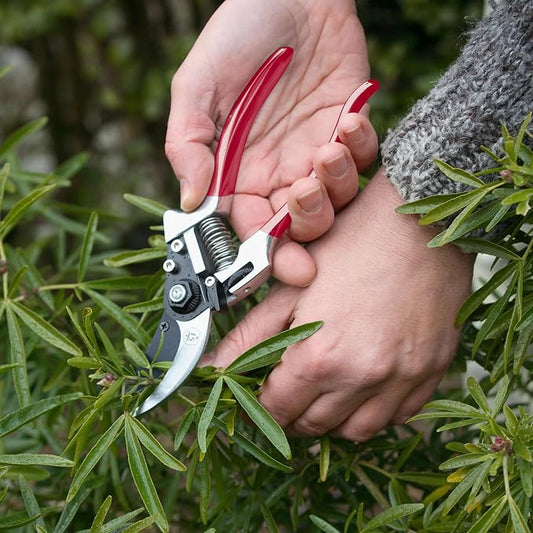 Spear & Jackson 6160BS/09 Razorsharp Premium Bypass Pruners, Red