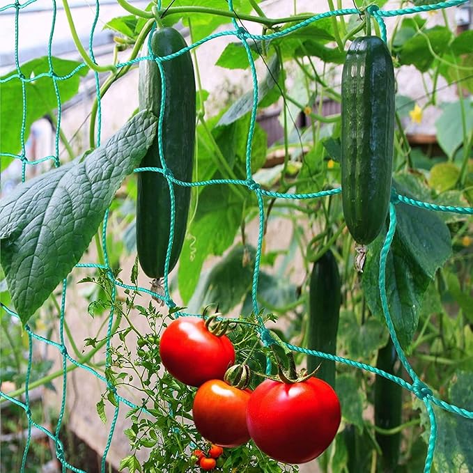 Trellis Netting for Climbing Plants - Heavy Duty Garden Trellis Netting for Cucumber, Vine, Fruits & Vegetables Tomato Plants Trellis Net, Climbing Vining Plants (2-Pack 8.2' x 6.6'Ft)