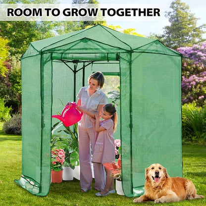 EAGLE PEAK 6.6x6.6 Portable Walk in Greenhouse, Pop Up Indoor Outdoor Greenhouse, Green House Kit with Zippered Roll-Up Doors and Windows, Hexagon Design, PE Cover, Clear/Green