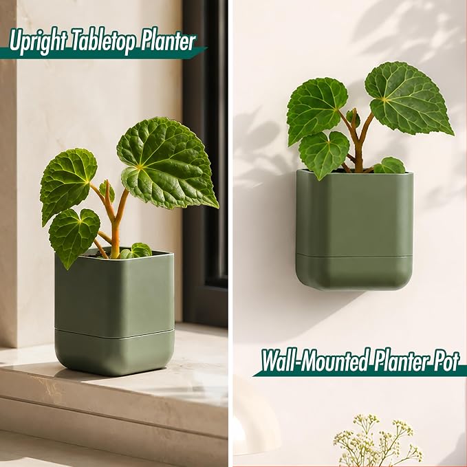 Phoenix Vine 3.5 Inch Wall Mounted Self-Watering Planter Pot for Indoor Houseplants and Herbs | Hanging Planter for Window Sills, Bathroom Walls, Home & Office Décor, Olive, Set of 4, 01-A-F-4