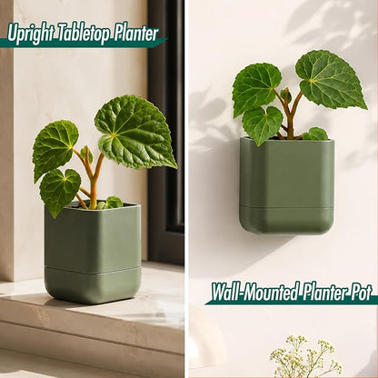 Phoenix Vine 3.5 Inch Wall Mounted Self-Watering Planter Pot for Indoor Houseplants and Herbs | Hanging Planter for Window Sills, Bathroom Walls, Home & Office Décor, Olive, Set of 4, 01-A-F-4