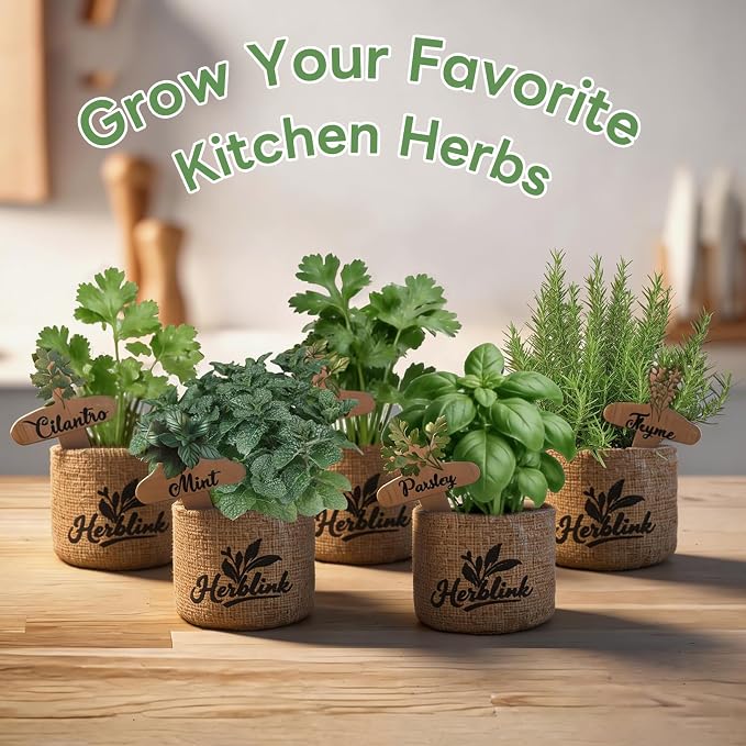 Indoor Herb Garden Starter Kit, Unique Gifts 5 Herb Garden Planter Indoor Kit with Wooden Box Including Basil, Cilantro, Thyme, Parsley, Mint, Fresh Herb Garden, Gardening Gifts for Women