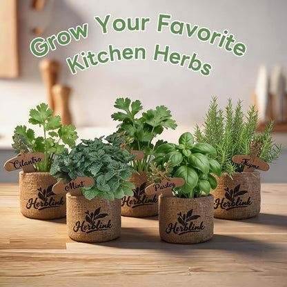 Indoor Herb Garden Starter Kit, Unique Gifts 5 Herb Garden Planter Indoor Kit with Wooden Box Including Basil, Cilantro, Thyme, Parsley, Mint, Fresh Herb Garden, Gardening Gifts for Women