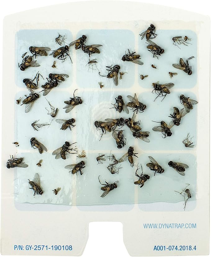 DynaTrap 23005-0612 DOT StickyTech Replacement Indoor Flying Insect Trap Glue Cards - 6 Pack