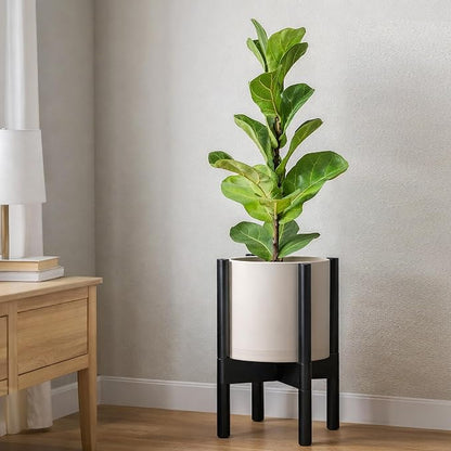 D'vine Dev Plastic Pot with Ebony Wood Stand, Oatmeal, 8 in, 55-C-K-4 | Mid-Century Inspired Design, Elevated Plant Display, Clean Lines, Sturdy Support, Modern Space-Saving Style