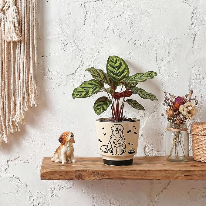 Ceramic Planter 5 Inch Plant Pots Indoor Succulent Plant Pot Cute Flowerpot | Unique Dog Pattern