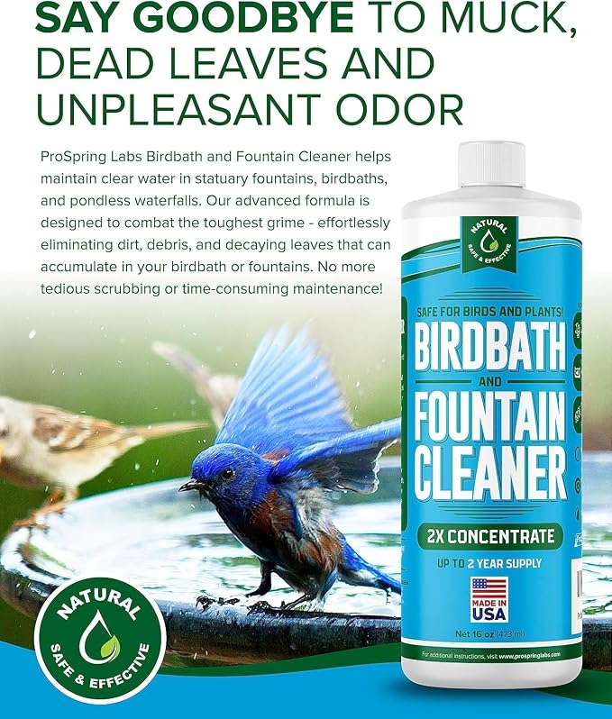 Birdbath & Fountain Cleaner - 16 oz Fountain Maintenance Outdoor Indoor - Bird Bath Cleaner