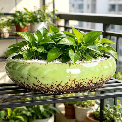 Succulent Pots, 10 Inch, Shallow Planter with Drainage for Succulent Planters, Bonsai Pots & Cactus Pots, Plant Pots, Ceramic Planters for Indoor Plants - Perfect for Home Offie Garden Decor, Green