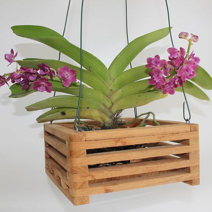 Set of 2 Wooden Orchid Baskets with Hangers, Hanging Vanda Baskets for Outside