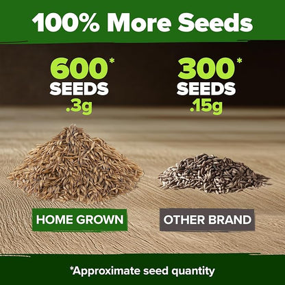 HOME GROWN Dandelion Seeds for Planting 600 Heirloom Medicinal Herb Seeds (~0.3g) Non GMO Grow Edible Leaves and Flowers for Remedies or Wildlife (Taraxacum officinale)