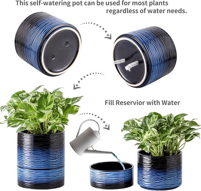 Nihow Ceramic Self Watering Plant Pot for Indoor Plants, 6 Inch,Blue | Planter with Cotton Wick, Drainage Hole & Water Storage Plus, Cylinder Round Flower Pot, For Succulent/Herbs/Violets
