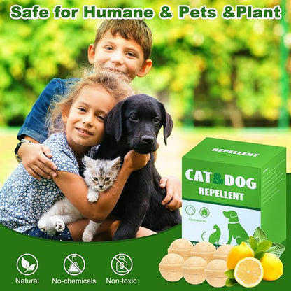 Cat and Dog Deterrent Outdoor, 24 Pcs Natural Cat Repellent Outdoor, Peppermint Oil Cat Deterrent Outdoor & Indoor, Keep Cats Out of Yard Permanently, Keep Cats Off Lawn Garden Furniture Flower