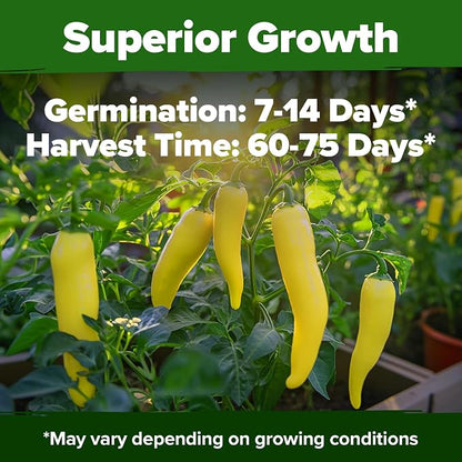 HOME GROWN Banana Pepper Seeds 94+ Heirloom Non GMO Seeds for Planting, High Germination, Sweet & Mild Peppers, Indoor Outdoor Garden, Perfect for Slicing & Pickling, High Yield (Capsicum annuum)