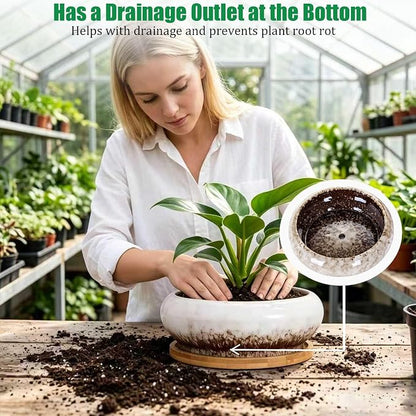 Drzewo Succulent Pots, Succulent Pots with Drainage & Bamboo Tray, 7-Inch Ceramic Drip Glazed Shallow Planter Container Bowl for Indoor Outdoor Plants, Decorative Garden Cactus Flower