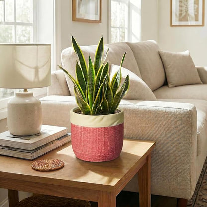 Ceramic Pots for Plants, 8 Inch Planter, Round Plant Pot, Red | Decorative Flower Pots with Drainage Hole, Boho Planter for Indoor Plants, Living Room Decor, Plant Gifts for Women