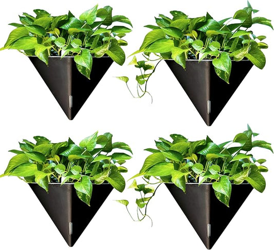 LaLaGreen Wall Planter for Indoor (12in, 4 Pack) Large Self Watering Plants | Black Geometric Hanging Flower Vase Vessel with Metal Hanger, Modern Stylish Wall Mounted Succulent Pot Holder Decor