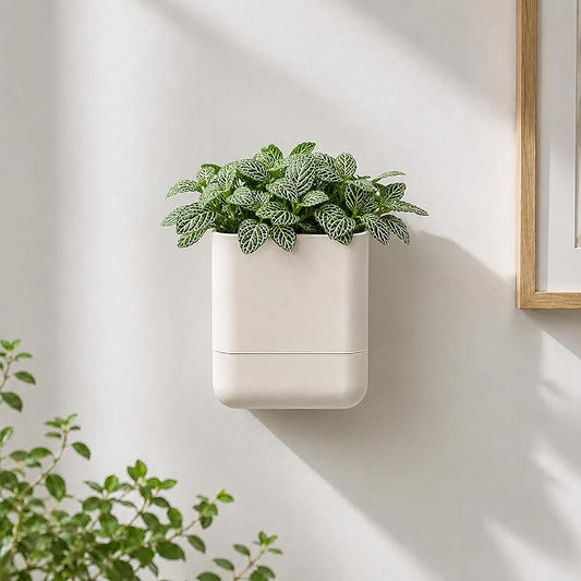 Phoenix Vine 3.5 Inch Wall Mounted Self-Watering Planter Pot for Indoor Houseplants and Herbs | Hanging Planter for Window Sills, Bathroom Walls, Home & Office Décor, Oatmeal, Set of 1, 01-A-G-1