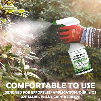 Neem Oil Spray for Plants with Peppermint Oil– Gentle Leaf Maintenance for Indoor and Outdoor Greenery, 16oz