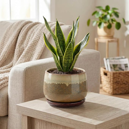 6 Inch Plant Pot - Ceramic Pots for Indoor Plants, Round Small Succulent Planter with Drainage and Saucer, Decorative Flower Pot, Office Room Decor, Gifts for Plant Lovers, Brown-Beige