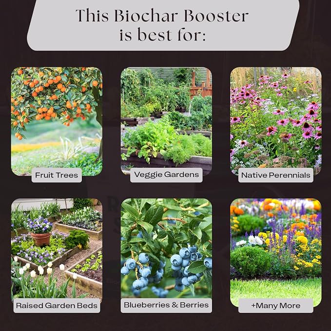 Rosy Soil Biochar Booster, Biochar Soil Amendment, 8 Quarts | Horticultural Charcoal, For Vegetable Gardens & Flowers, Outdoor & Indoor Plants, with Mycorrhizae, Worm Castings & Compost