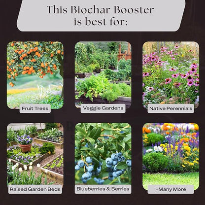 Rosy Soil Biochar Booster, Biochar Soil Amendment, 8 Quarts | Horticultural Charcoal, For Vegetable Gardens & Flowers, Outdoor & Indoor Plants, with Mycorrhizae, Worm Castings & Compost