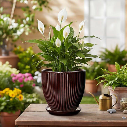 6 Inch Planter, Ceramic Plant Pots Indoor with Drainage Hole and Saucer, Round Flower Orchid Pots for Indoor Plants, Succulent Pot, Small Modern Planter, Bathroom Decor, Brown