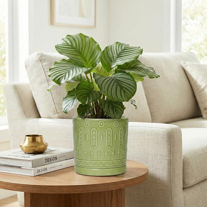 Eightpot Ceramic Flower Pots, 6 Inch Planter for Indoor Plants Outdoor, Round Pots for Plants with Drainage Hole and Tray, Modern Decorative Plant Pot, Bathroom Decor, Green