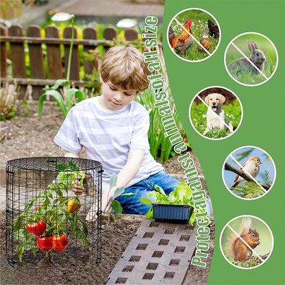 Garden Plant Protectors from Animals,Metal Plant Cage Chicken Wire Cloche with Ground Stakes and Nylon Tie,Garden Plant Protectors for Flower Vegetable to Keep Animals Out-11.8"x 12.6" (6)