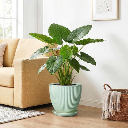 10 Inch Planter Indoor, Ceramic Pots for Plants Indoor, Decorative Plant Pots with Drainage Hole and Saucer, Large Modern Planter, Round Flower Pot, Floor Decor, Women Men Gifts, Mint Green