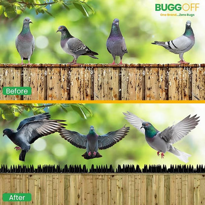 BUGGOFF - Bird & Rodent Spikes, Unique Spike Pattern effecitviely deteres Pesky Pigeons, Squirrels, Raccoons. Installs on Fences, Gates, Roofs, Walls and More! (13 Feet, Black Plastic)