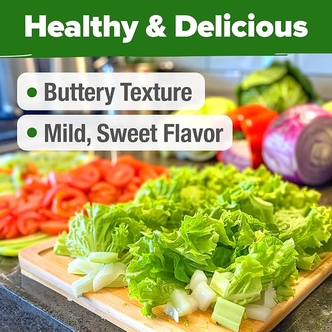 HOME GROWN Buttercrunch Lettuce Seeds Bulk Pack 1975+ Heirloom Non GMO Seeds for Planting, Bibb Lettuce, Indoor Outdoor Hydroponic Garden, Heat Tolerant, Sweet Tender Green Leaves (Lactuca Sativa)