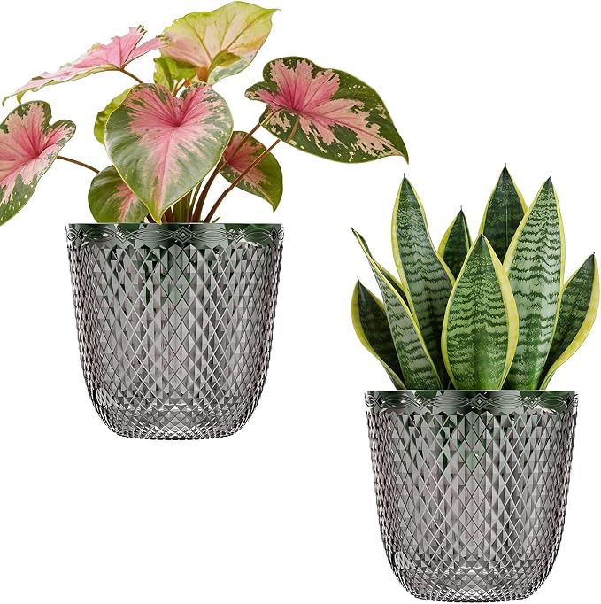QCQHDU 2 Pack Self Watering Pots, 5.7 Inch, with Drainage Holes, Gray | Plastic Garden Planter with Water Filling Port for Indoor Plants