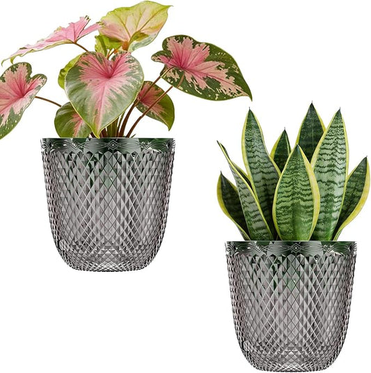 QCQHDU 2 Pack Self Watering Pots, 5.7 Inch, with Drainage Holes, Gray | Plastic Garden Planter with Water Filling Port for Indoor Plants