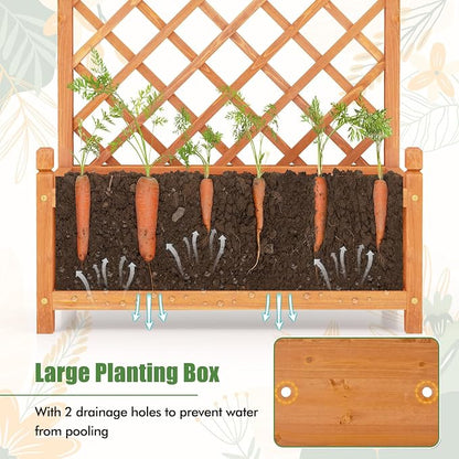 HAPPYGRILL Raised Garden Bed with Trellis, Large Planting Box w/Drainage Holes, 60” Wooden Garden Planter w/Diamond Lattice Trellis for Climbing Plants, Outdoor Planter Box for Patio (1, Orange)