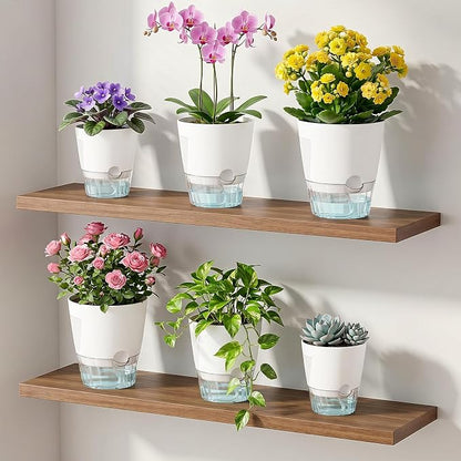 Hayder 5/6/7 Inch Self Watering Pots for Indoor Outdoor Plants 6 Pack, Plastic Planter with Drainage Holes, Water Level Indicator & Deep Clear Reservoir, Modern Decorative Flower Pots