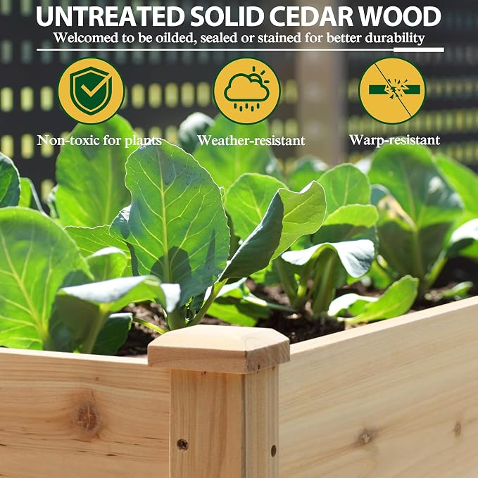 BlueWish 48"W x 24"D x 30"H Raised Garden Bed, Cedar Garden Bed with Detachable Black Liner, Drainage Holes, Raised Garden Beds Outdoor 330 lbs Capacity, Raised Beds for Gardening, Vegetable, Flower