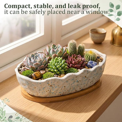 Succulent Planter Pot with Drainage Holes Large Ceramic Glazed Planter with Bamboo Wooden Tray and mesh Pads Shallow Bonsai Pot for Indoor Cactus Flower Plant(Wave-Shaped,Speckle)