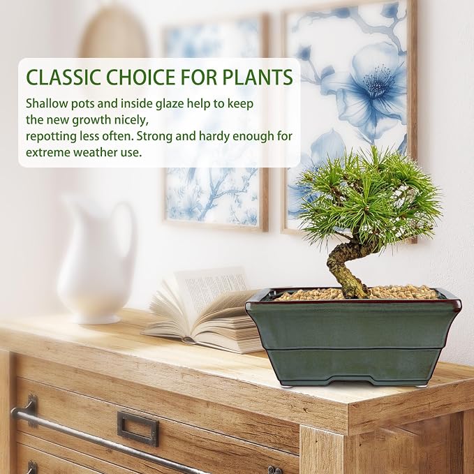 Set of 2 Large Green Glazed Ceramic Bonsai Pots, 10" Rectangular Bonsai Planters Pots with Drainage Hole for Indoor/Outdoor Plants, Bonzie Tree Pot for Succulents, Cacti, Orchids, Herbs, Spider Plants