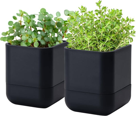 Phoenix Vine 4.5 Inch Wall Mounted Self-Watering Planter Pot for Indoor Houseplants and Herbs | Hanging Planter for Window Sills, Bathroom Walls, Home & Office Décor, Black, Set of 2, 01-B-E-2