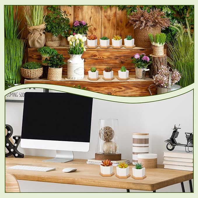 Gerrii Succulent Pots Mini White Ceramic Flower Planter Pot Succulent Planters with Wooden Trays and Drainage Holes for Plants Cactus Home Office Decoration, Plants Not Included(24 Pcs)