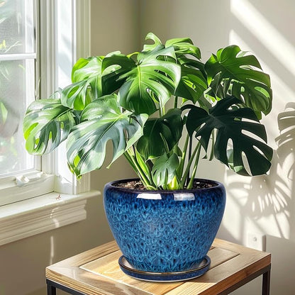Ceramicfor 10 Inch Ceramic Planter Pot, Ceramic Plant Pot for Indoor Outdoor Plants, Large Flower Pot with Drainage Hole and Saucer, Blue