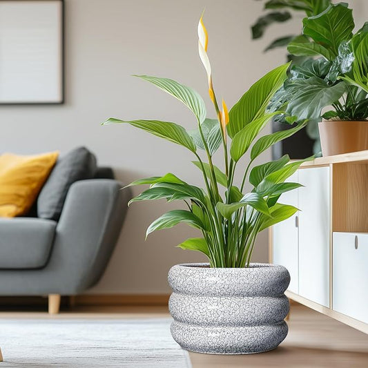 SQOWL Ceramic Plant Pots - 13.5 Inch Ceramic Planter with Drainage Hole, Large Round Planter for Indoor Plants, Modern Flower Pots Outdoor, Office Living Room Decor, Birthday Gifts, Black and White