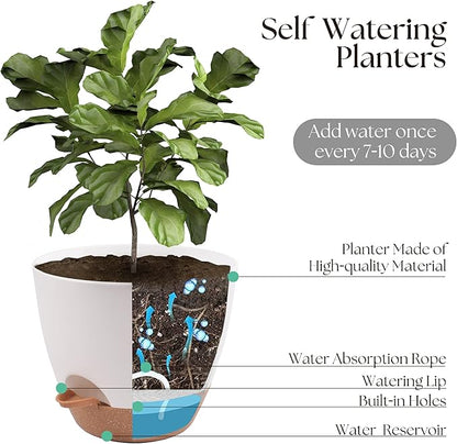 TYMENSH Plant Pots 12/10/9 Inch Set of 3, Self Watering Planters with Drainage Holes and Water Reservoir, Heavy Duty Plastic Flower Pots for Indoor Outdoor Plants, White